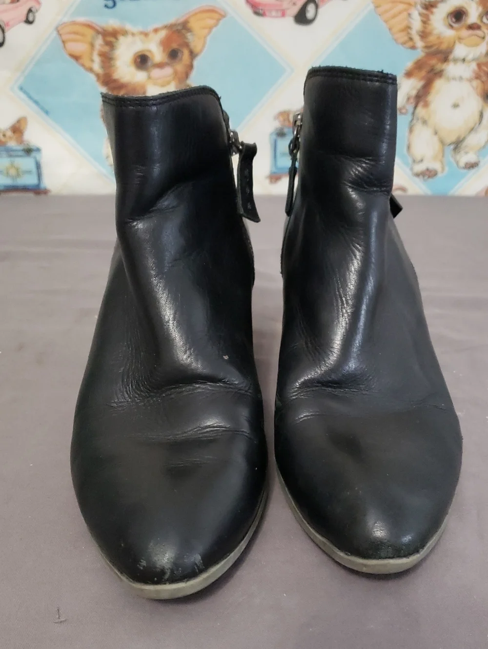Women’s Frye Black Ankle Boots - Sleek Zipper Low Heel Size 10